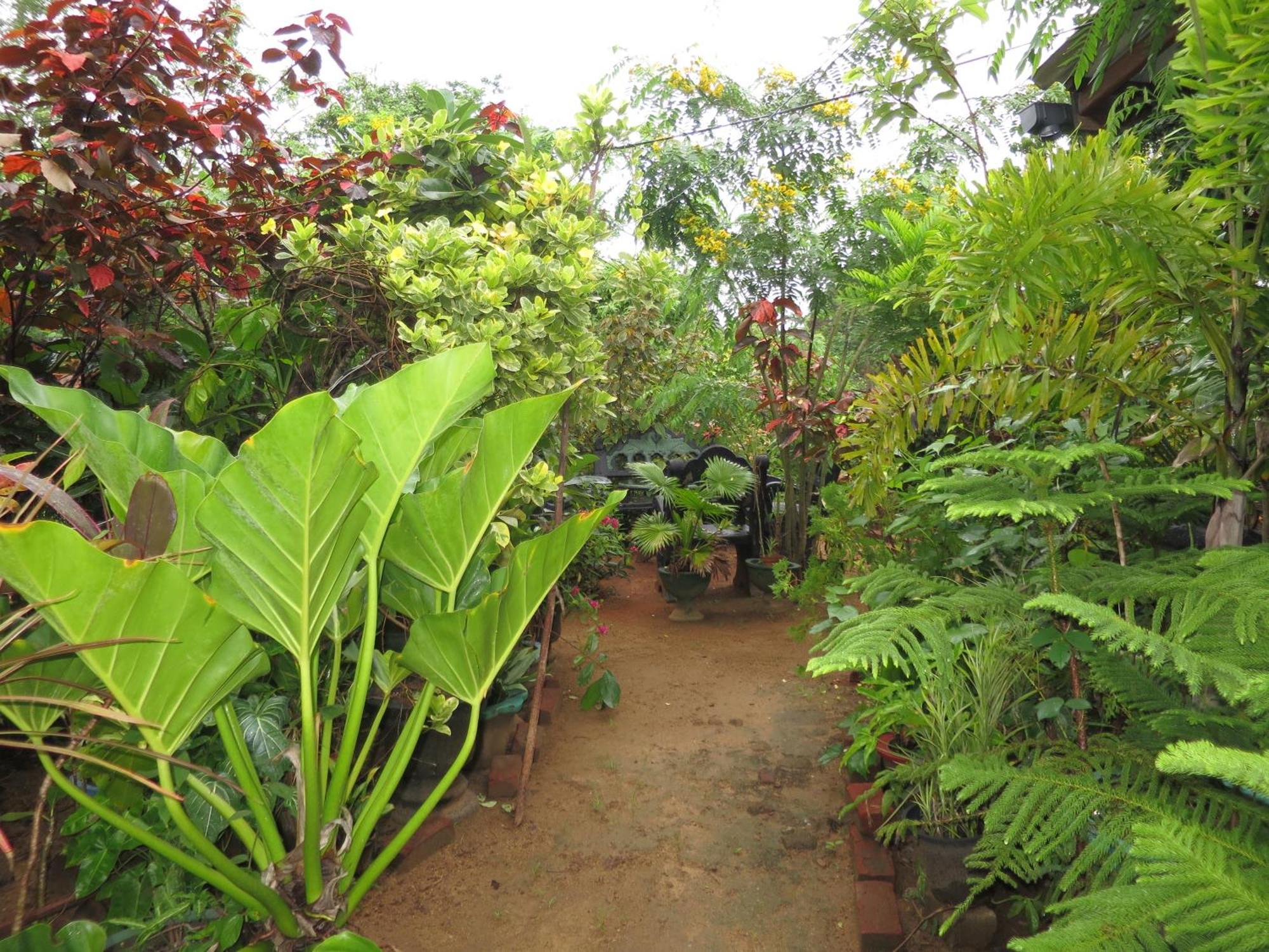 Another World Hostel Sigiriya Exterior photo